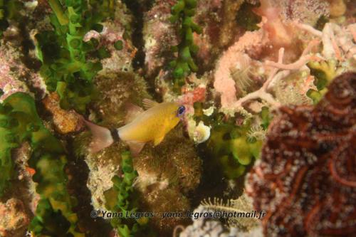 20180120 155802 2277