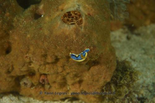 20180120 160954 2279