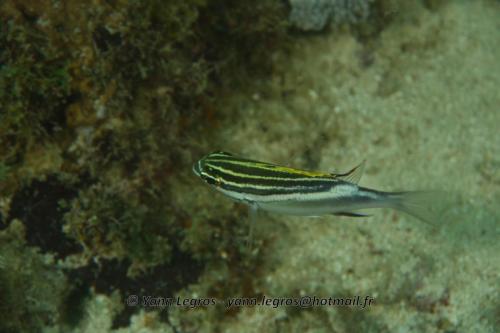 20180120 161209 2280