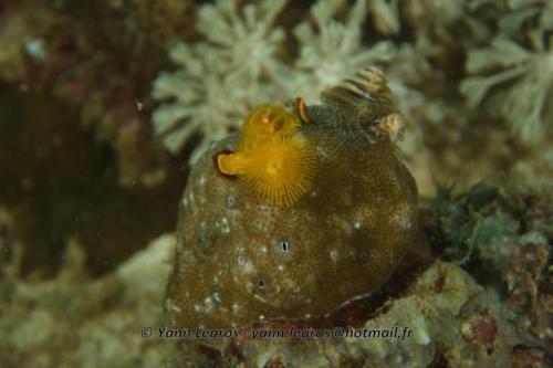 20180120 161231 2281