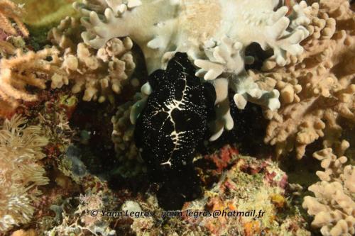 20180120 161433 2282