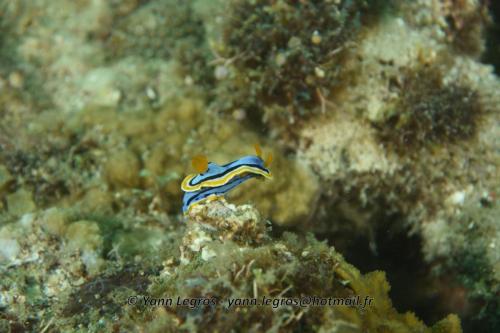 20180120 161937 2283