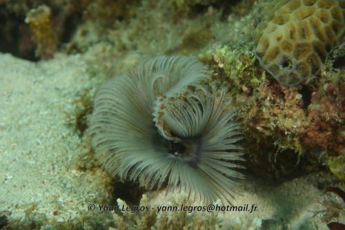 20180120 162245 2286