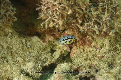 20180120 162351 2287