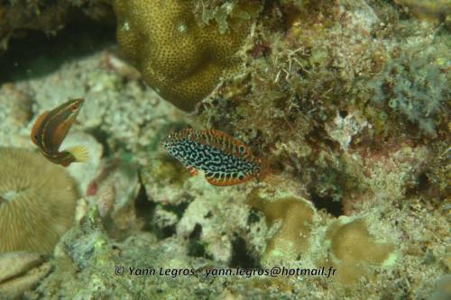 20180120 162425 2288