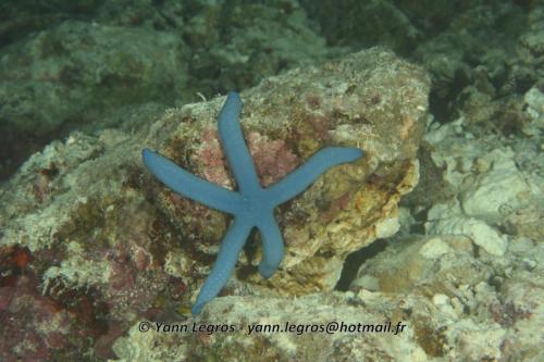 20180124 181420 2289