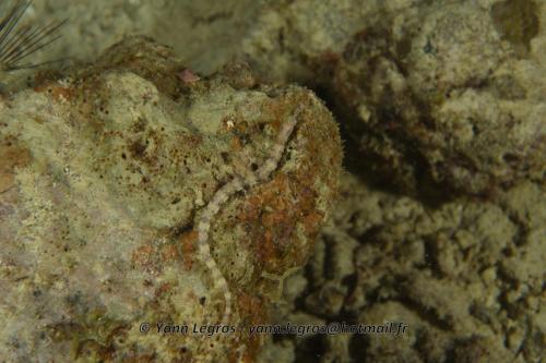 20180124 181503 2290