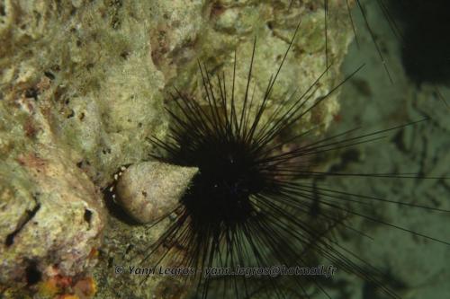 20180124 181604 2291