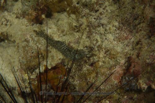 20180124 181800 2292