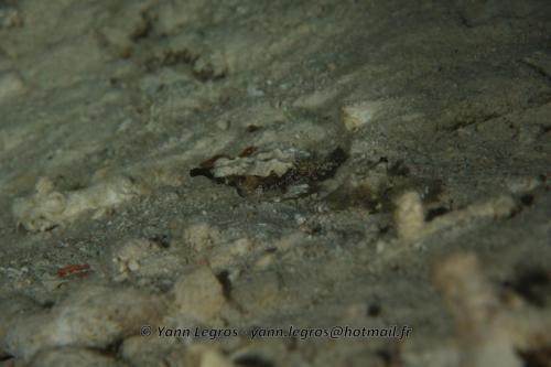 20180124 181914 2293