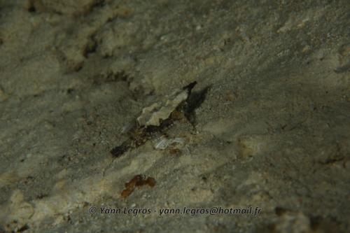 20180124 181940 2294