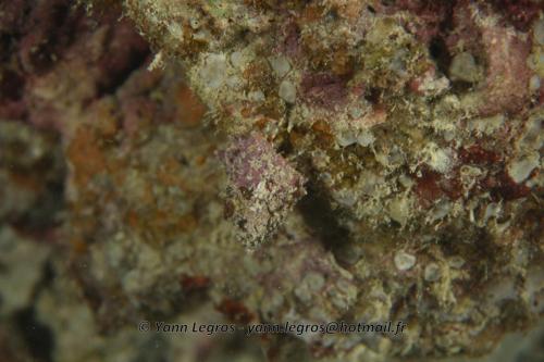 20180124 182748 2295