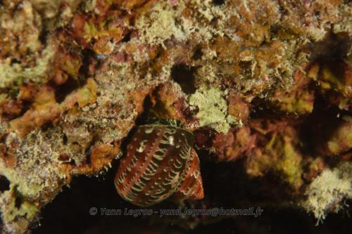 20180124 182956 2296