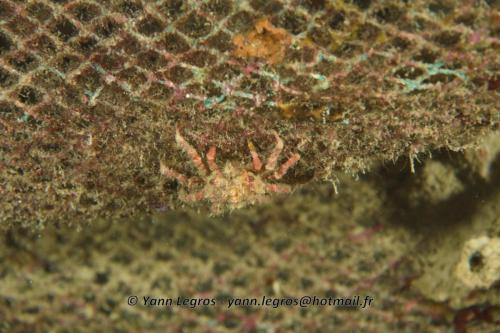 20180124 183226 2297