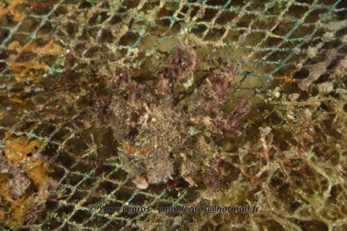 20180124 183338 2298