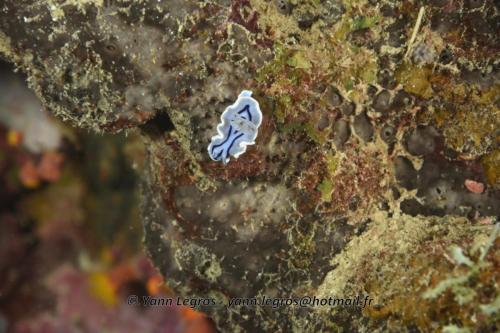 20180124 183936 2299