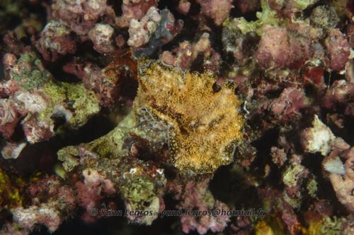 20180124 184059 2300