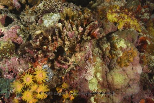 20180124 184445 2301