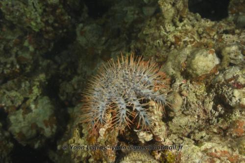 20180124 184658 2302