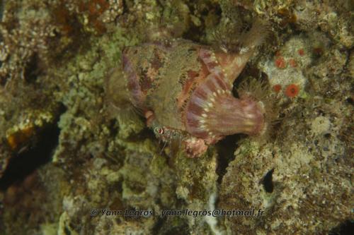 20180124 184743 2303