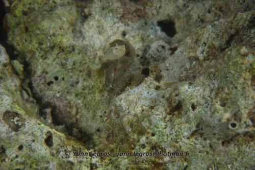 20180124 184926 2304