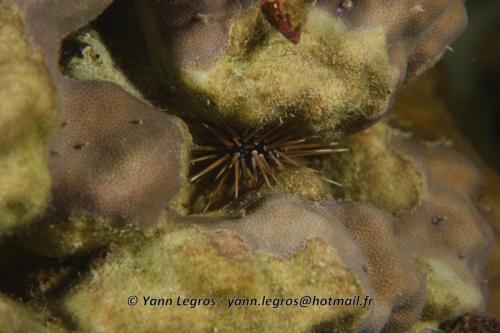 20180124 185645 2305