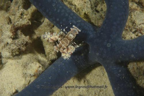 20180124 190128 2306