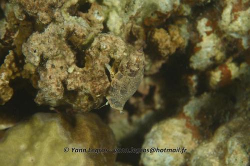 20180124 190821 2307