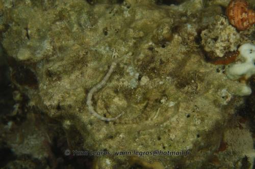 20180124 191638 2308