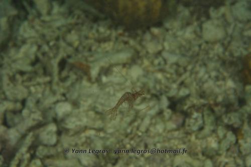 20180124 191809 2309