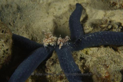 20180124 192316 2310