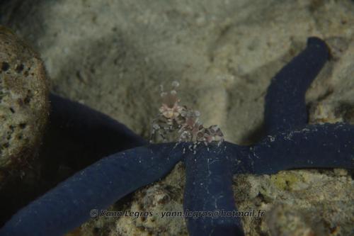 20180124 192417 2311