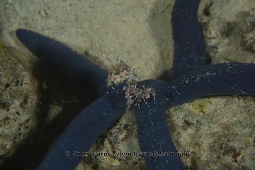 20180124 192425 2312