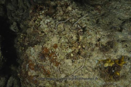 20180124 192759 2313