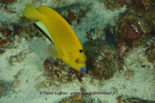 20180125 084041 2314