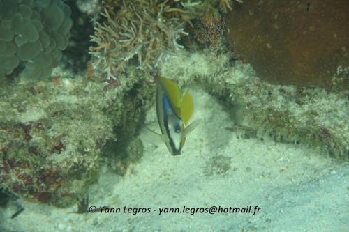 20180125 084521 2315