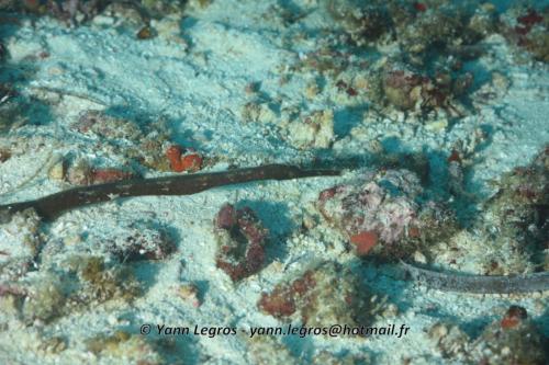 20180125 084932 2316