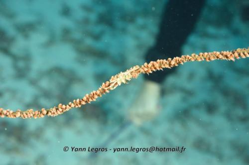 20180125 085250 2317