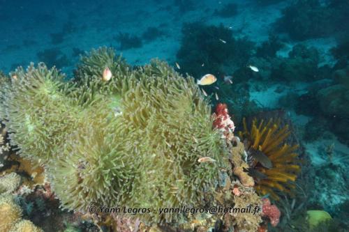 20180125 085621 2319