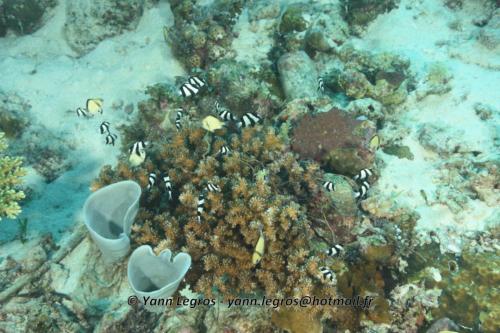 20180125 085916 2320