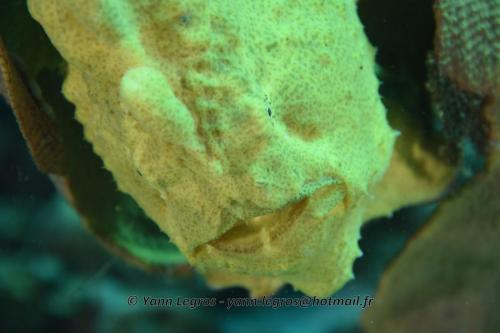 20180125 090220 2321