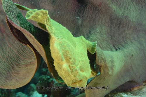 20180125 090233 2322