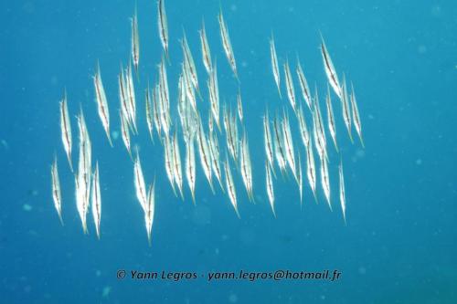 20180125 090508 2323