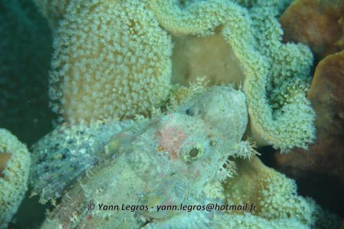 20180125 090531 2324