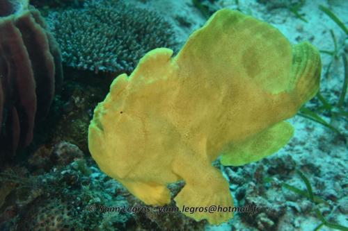 20180125 090852 2325