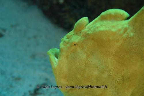 20180125 090903 2326