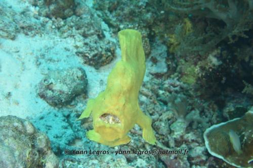 20180125 090921 2327