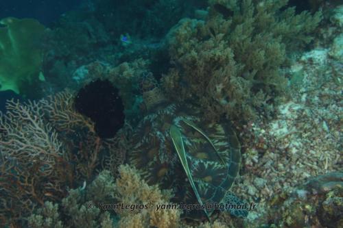 20180125 091125 2328