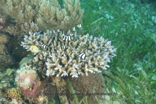 20180125 091447 2329