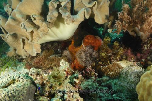 20180125 092507 2330